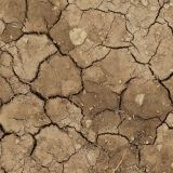 Rischio siccità nella Granda, Azione: "Servono progetti per invasi e infrastrutture, azioni concrete contro un problema crescente."
